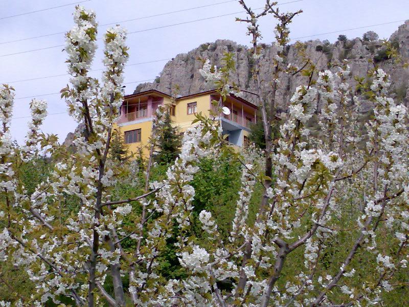 Aladag Dag Otel Экстерьер фото